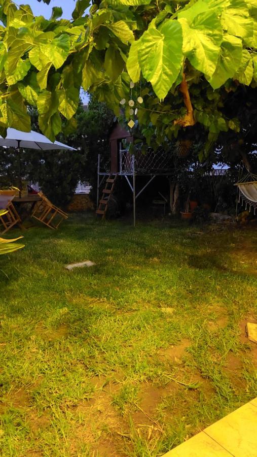 Diamant'S Place With Treehouse Garden Kounoupidhianá Zewnętrze zdjęcie