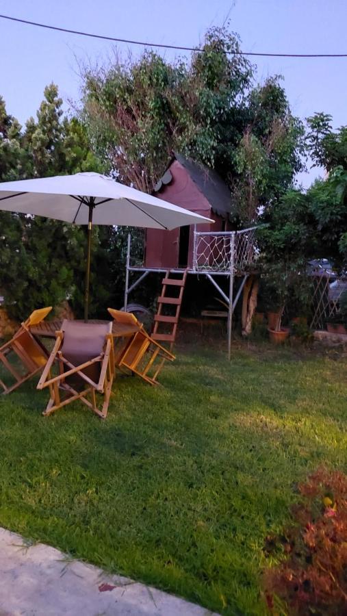 Diamant'S Place With Treehouse Garden Kounoupidhianá Zewnętrze zdjęcie